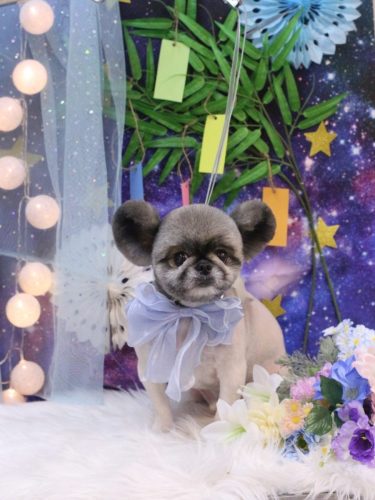 20250704リムルくん